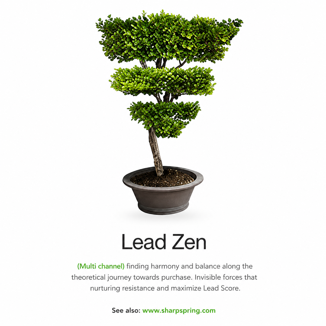 Lead Zen campaign — Funnel Shu bonsai